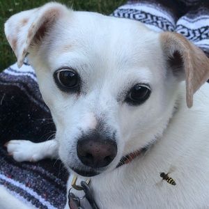 Meet your Posher, Jess